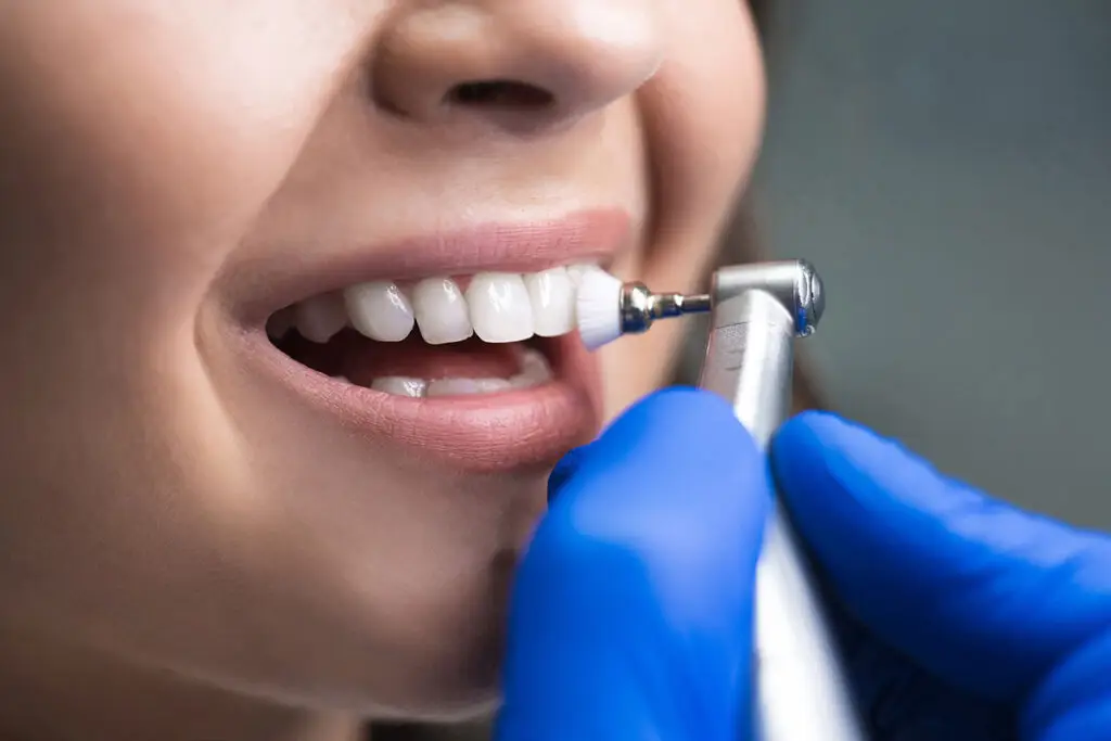 Revive Dental Co. | Dental Cleanings and Exams in Oak Brook, IL: The Foundation of a Healthy Smile Revive Dental Co. | Dental Cleanings and Exams in Oak Brook, IL: The Foundation of a Healthy Smile